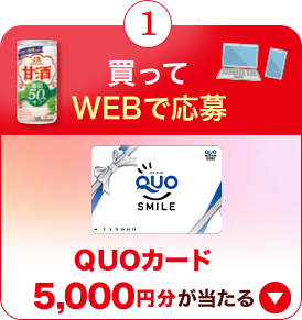 買ってWEBで応募
