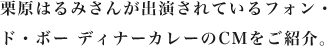 栗原はるみさんが出演されているフォン・ド・ボー ディナーカレーのCMをご紹介。