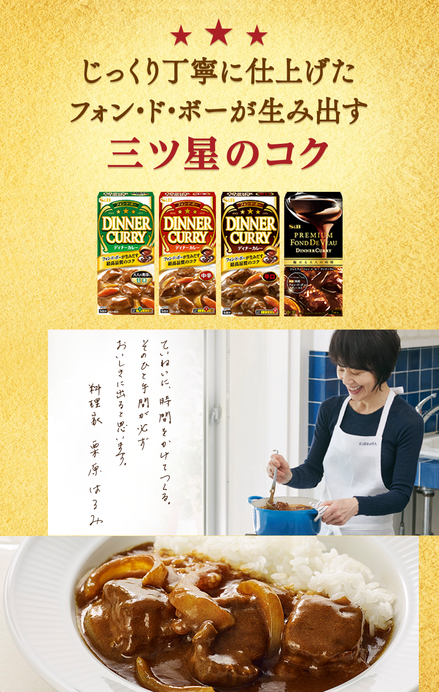 じっくり丁寧に仕上げたフォン・ド・ボーが生みだす三ツ星のコク　フォン・ド・ボー　ディナーカレー