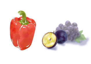 イラスト（食物）
